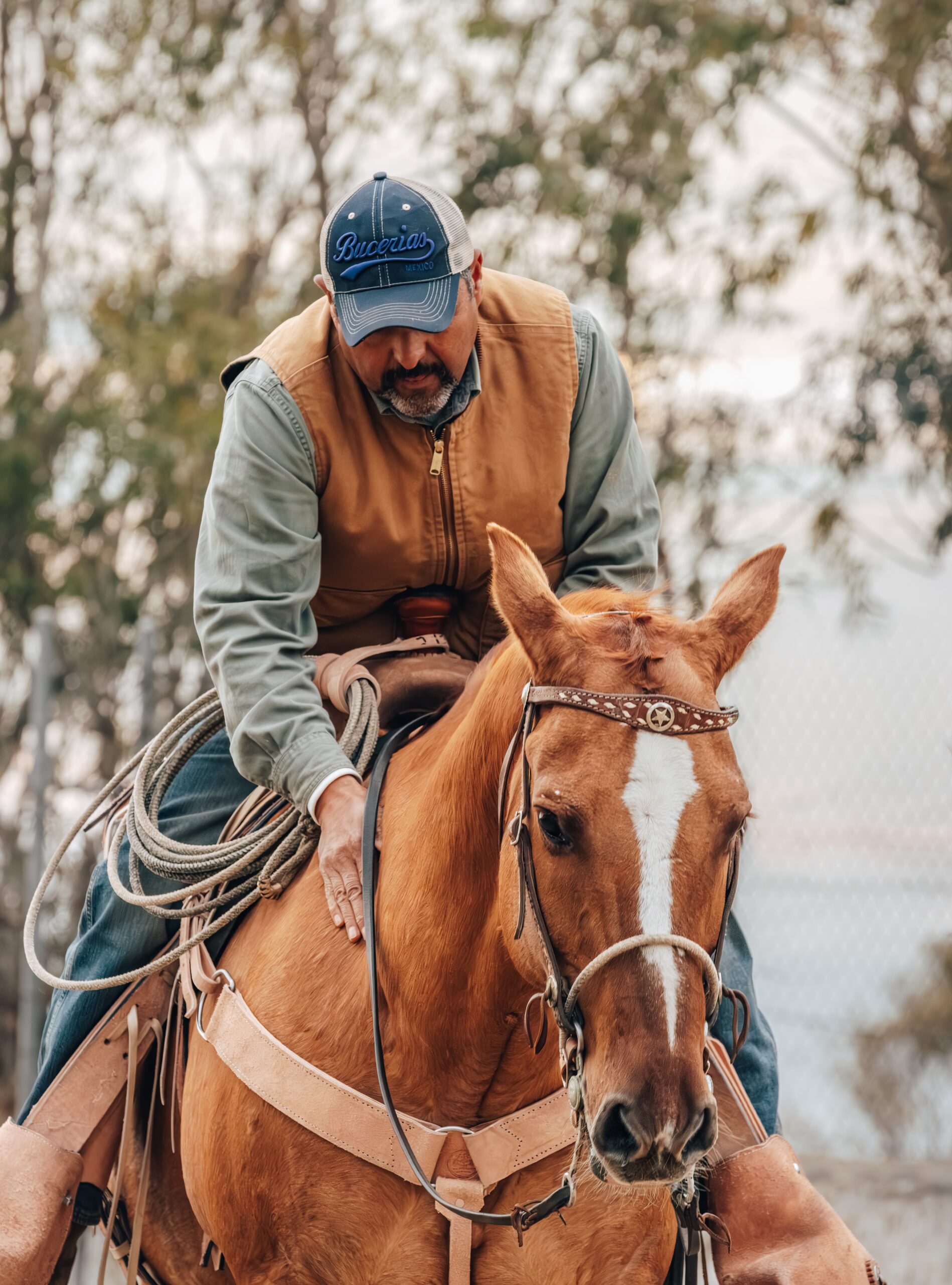 Horseman on a sorrel horse.